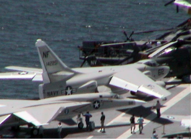 Whale aboard - May 26, 2006