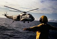 Show of Strength Exercise